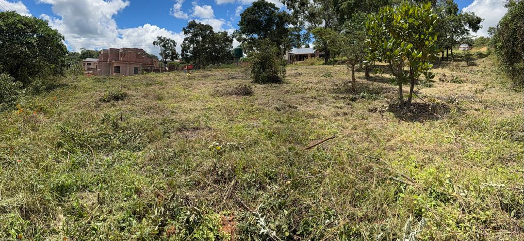 CARRICK CREAGH STAND FOR SALE