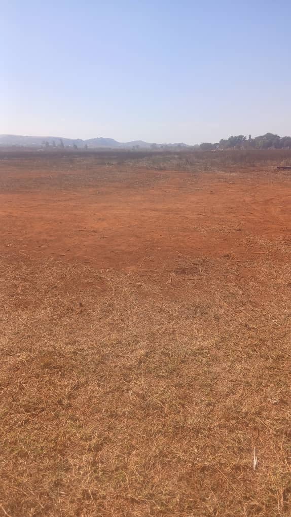 DOMBOSHAVA COMMERCIAL STAND FOR SALE